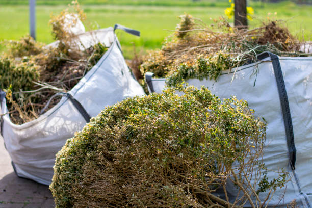 Best Basement Cleanout Services  in Harris Hill, NY